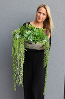 Anya Laos, piękna kompozycja Sukulenty w lustrzanej donicy, wym.25x48cm