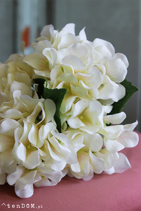 bukiet hortensji, Marynika, ecru, 5szt. dł.46cm 