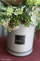 Arizona, flowerbox z sukulentami, wys.40cm 