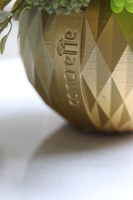 efektowna kompozycja sukulenty, GoldenRose,wys.19cm