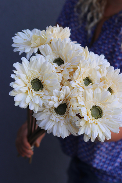 Gerbery Flamenco, bukiet waniliowych kwiatów, dł.51cm