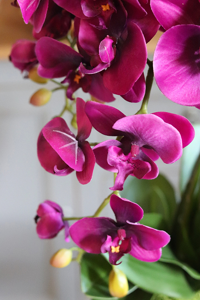 fioletowy storczyk w ceramicznej donicy, Leminato, wys.63cm 