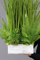 Minolla, nowoczesna kompozycja traw i sukulentów, wys.78cm