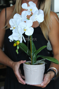 Dragonfly 2 sztuczny storczyk w bieli, szara donica wys. ok. 49cm