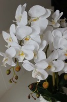 Kollessa, sztuczny storczyk w oryginalnej donicy, wys.66cm