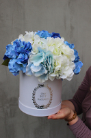 kompozycja kwiatowa / bukiet Flowerbox, Hortense Blue wys.23cm 