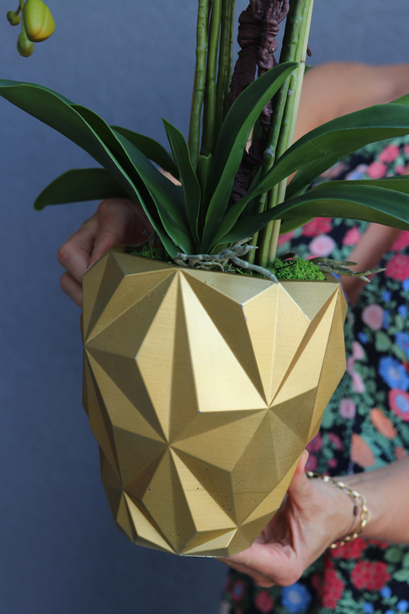 Golden Design, efektowny storczyk w nowoczesnej donicy, wys.73cm