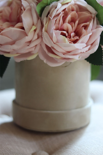 beżowy welurowy flowerbox z piwoniami, Severna , wys.24cm