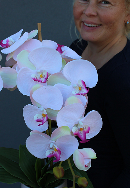 Billano storczyk w jasnoróżowej ceramicznej donicy, wys.56cm