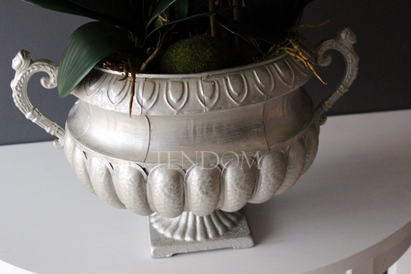 duży storczyk w eleganckim pucharze Carlos wys.90cm