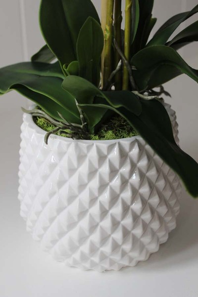 Kollessa, sztuczny storczyk w oryginalnej donicy, wys.66cm 