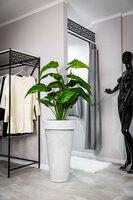 Pons donica jasny marmurek 44x75cm