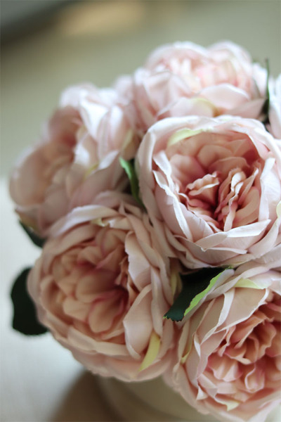 beżowy welurowy flowerbox z piwoniami, Severna , wys.24cm