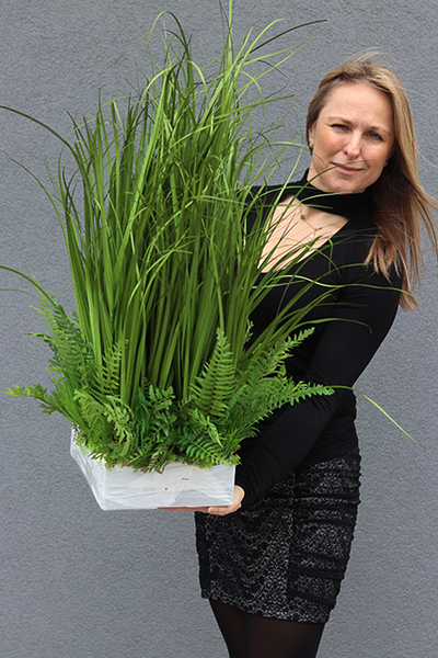 Minolla, nowoczesna kompozycja traw i sukulentów, wys.78cm