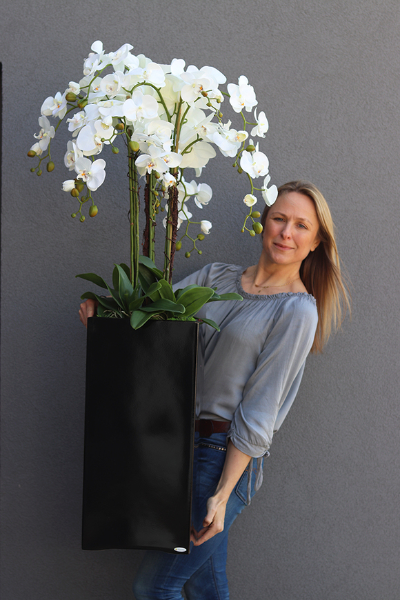 Grande Fiberglass Black Extra, efektowny storczyk w czarnej donicy z fiberglass (połysk), wys.130cm 