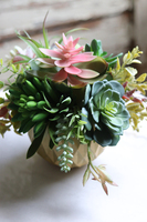 efektowna kompozycja sukulenty, GoldenRose,wys.19cm