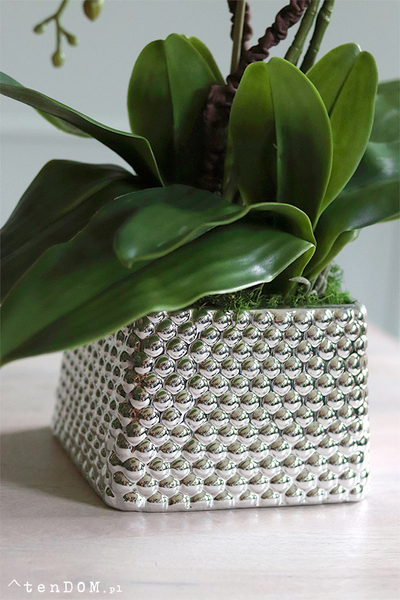 Flamenita, fioletowy storczyk w srebrnej donicy, wys.55cm