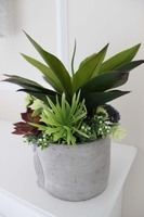 elegancka kompozycja sukulenty Sutra, wys.30cm