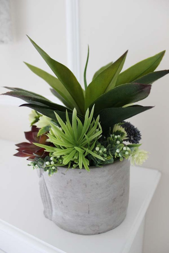 elegancka kompozycja sukulenty Sutra, wys.30cm