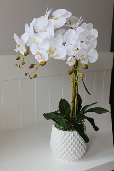 Kollessa, sztuczny storczyk w oryginalnej donicy, wys.66cm 