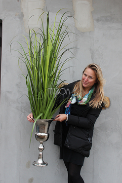 kompozycja z trawami Palazzo, wys.150cm