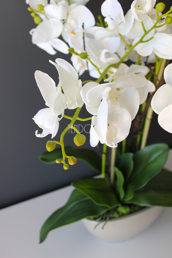 Ballano Beige storczyk w beżowej podłużnej donicy, wys.60cm