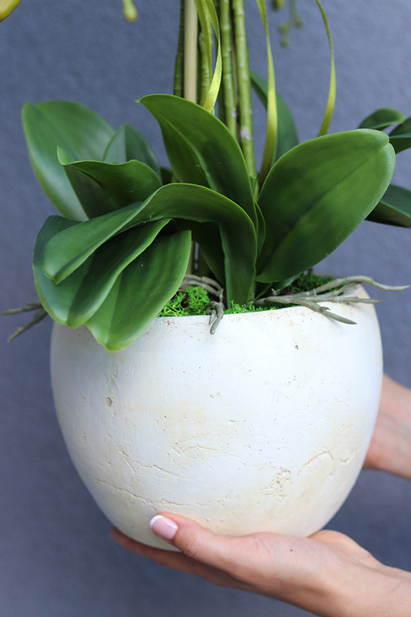 Renissa, sztuczny storczyk w donicy, wys.63cm