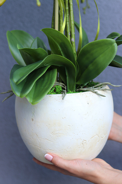 Renissa, sztuczny storczyk w donicy, wys.63cm