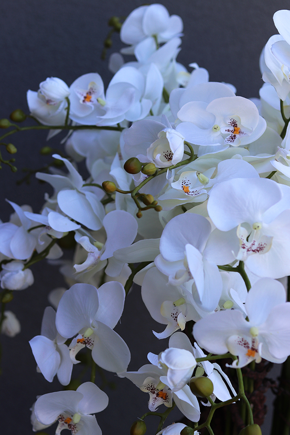 Grande Fiberglass White Extra, efektowny storczyk w białej donicy z fiberglass (połysk), wys.150cm 