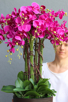 Fuksja Terrano, wysoki sztuczny storczyk w czekoladowej donicy, wys.135cm