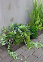 Anya 3, piękna kompozycja Sukulenty w lustrzanej donicy, wys.34cm