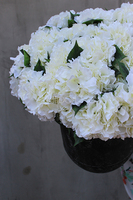 kompozycja kwiatowa Grigio biała hortensja XL, wys.70cm