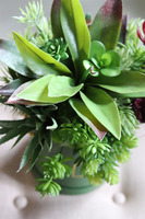 Alberto, flowerbox z sukulentów w zielonym pudełku, wys.36cm