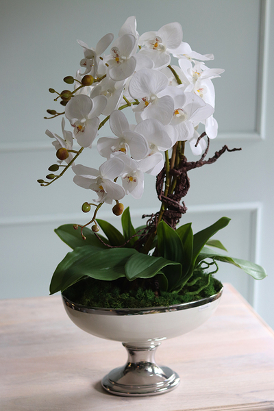 Helioso, elegancki storczyk w białym pucharze glamour, wys.67cm