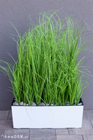 Magoda Estrecha, nowoczesna kompozycja ze sztucznej trawy, wys.86cm