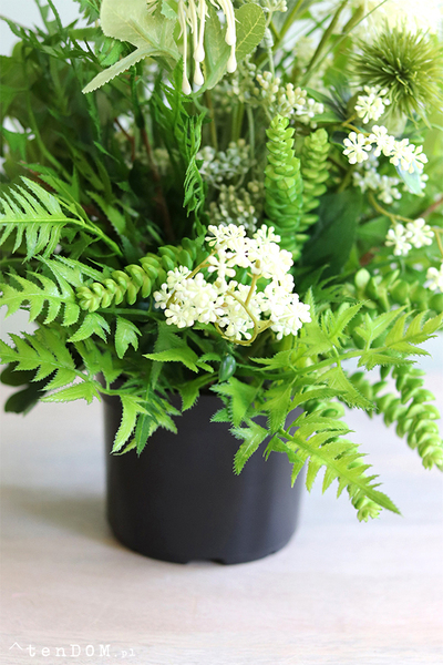 Titika, zielona kompozycja w czarnej donicy, wys.54cm