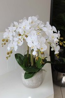 Bergamo elegancki sztuczny storczyk, wys.62cm