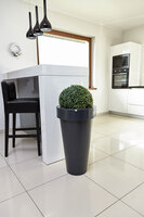 Pons donica antracyt 44x75cm