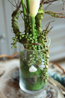 Marimo Kalle, wysokiej jakości kompozycja kwiatowa w szkle, wys.74cm