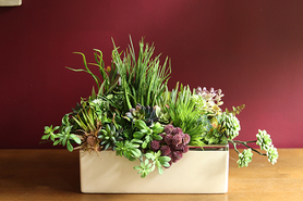 Anya Blue, kompozycja w białej donicy z niebieskimi dodatkami, wys.38cm