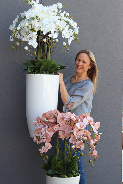 Grande Fiberglass White Extra, efektowny storczyk w białej donicy z fiberglass (połysk), wys.150cm 