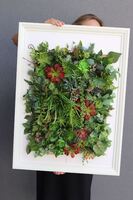 atrakcyjna jednostronna rama Hotels Sukulenty 3, wym.77x57cm 