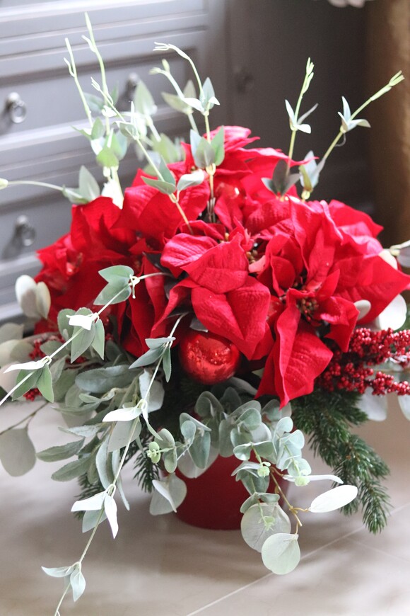 Gwiazda Betlejemska Red in Red, świąteczna kompozycja, wys.48cm