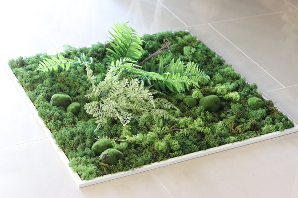 jednostronna zielona rama z mchem, Natura, wym. 80x80cm