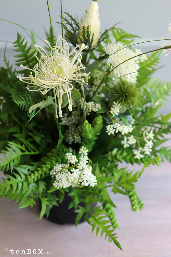 Titika, zielona kompozycja w czarnej donicy, wys.54cm