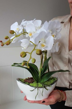 Galiano Small, wyjątkowy sztuczny storczyk, wys.36cm 