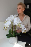 Bergamo elegancki sztuczny storczyk, wys.62cm