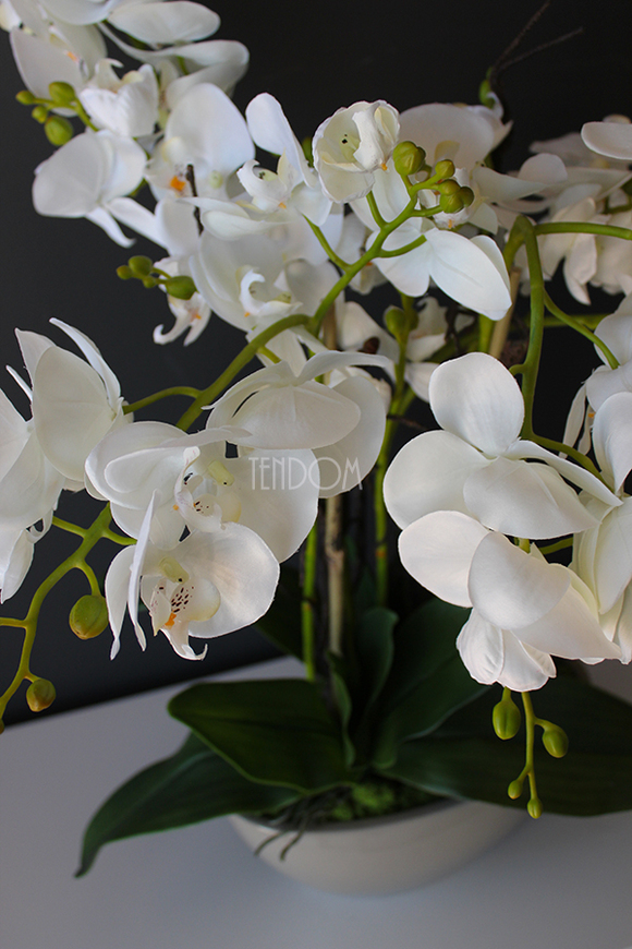 Ballano Beige storczyk w beżowej podłużnej donicy, wys.60cm