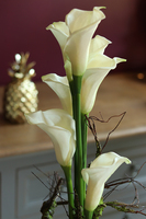 Marimo Kalle, wysokiej jakości kompozycja kwiatowa w szkle, wys.74cm