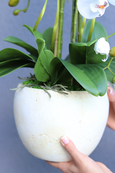 Renissa, sztuczny storczyk w donicy, wys.63cm